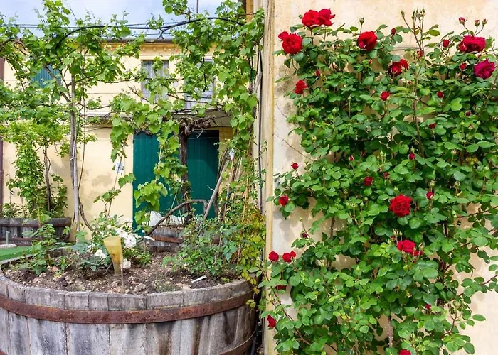 R24 - Casa Glicine . Apartamento Numana