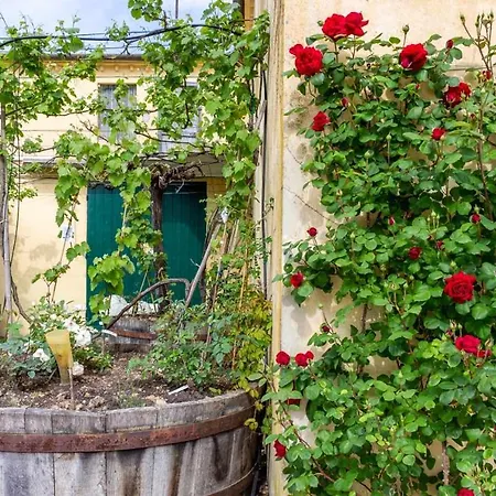 R24 - Casa Glicine . Διαμέρισμα Numana